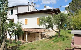 Radici House